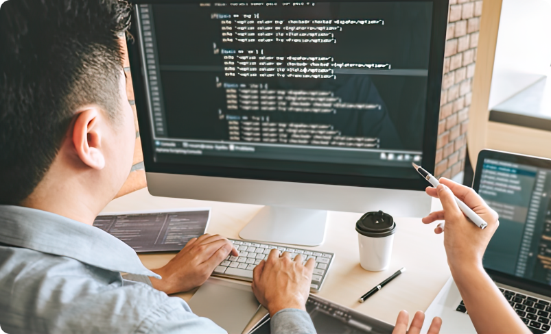Enterprise custom software development
